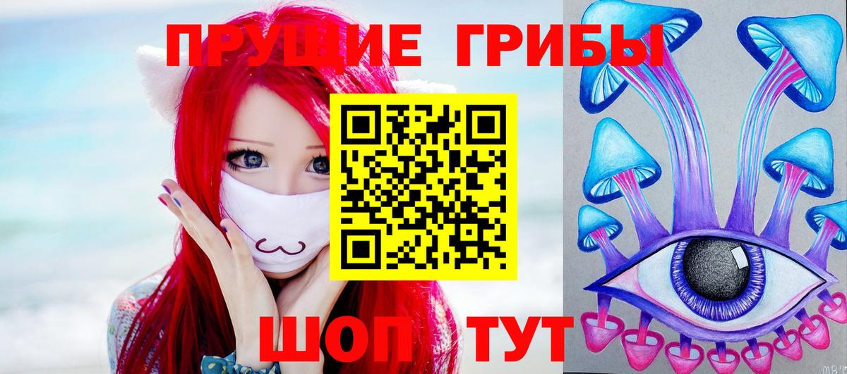 Тамбов  Галлюциногенные грибы GOLDEN TEACHER  даркнет сайт  Вход с VPN 