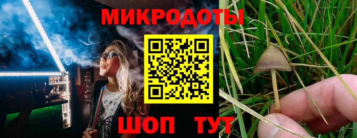 Псилоцибиновые грибы MAGIC MUSHROOMS Тамбов